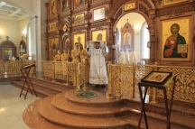 IMG_7569.jpg