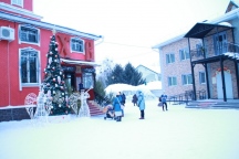 IMG_7266.JPG