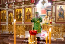 IMG_8456.jpg