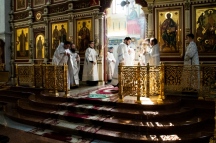 IMG_9801.jpg