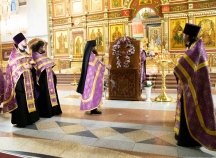 IMG_7383.jpg
