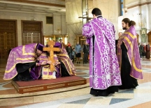 IMG_7792.jpg