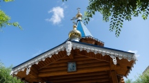 DSC02502.jpg