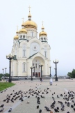 IMG_3435.JPG
