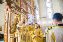 IMG_7712.jpg