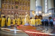 IMG_7174.jpg