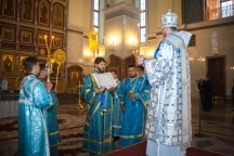 IMG_2884.jpg
