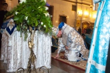 IMG_2926.jpg