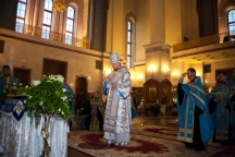 IMG_2965.jpg