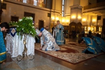 IMG_2966.jpg
