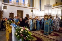 08439.jpg