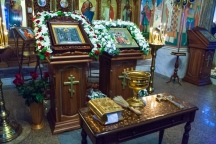 08541.jpg