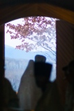 015783.jpg