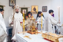 015887.jpg
