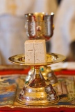 016470.jpg