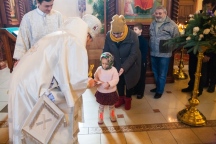 016567.jpg