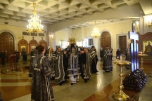 IVO_8948.JPG