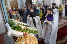IVO_8260.JPG