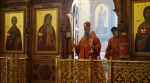 DSC00385.jpg