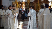 DSC00490.jpg