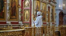 DSC00556.jpg