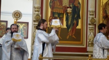 DSC00611.jpg
