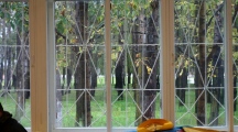 DSC05289.jpg